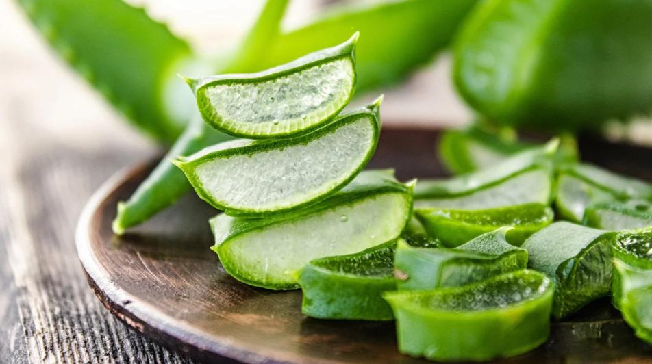 Công dụng tuyệt vời của món yến chưng nha đam