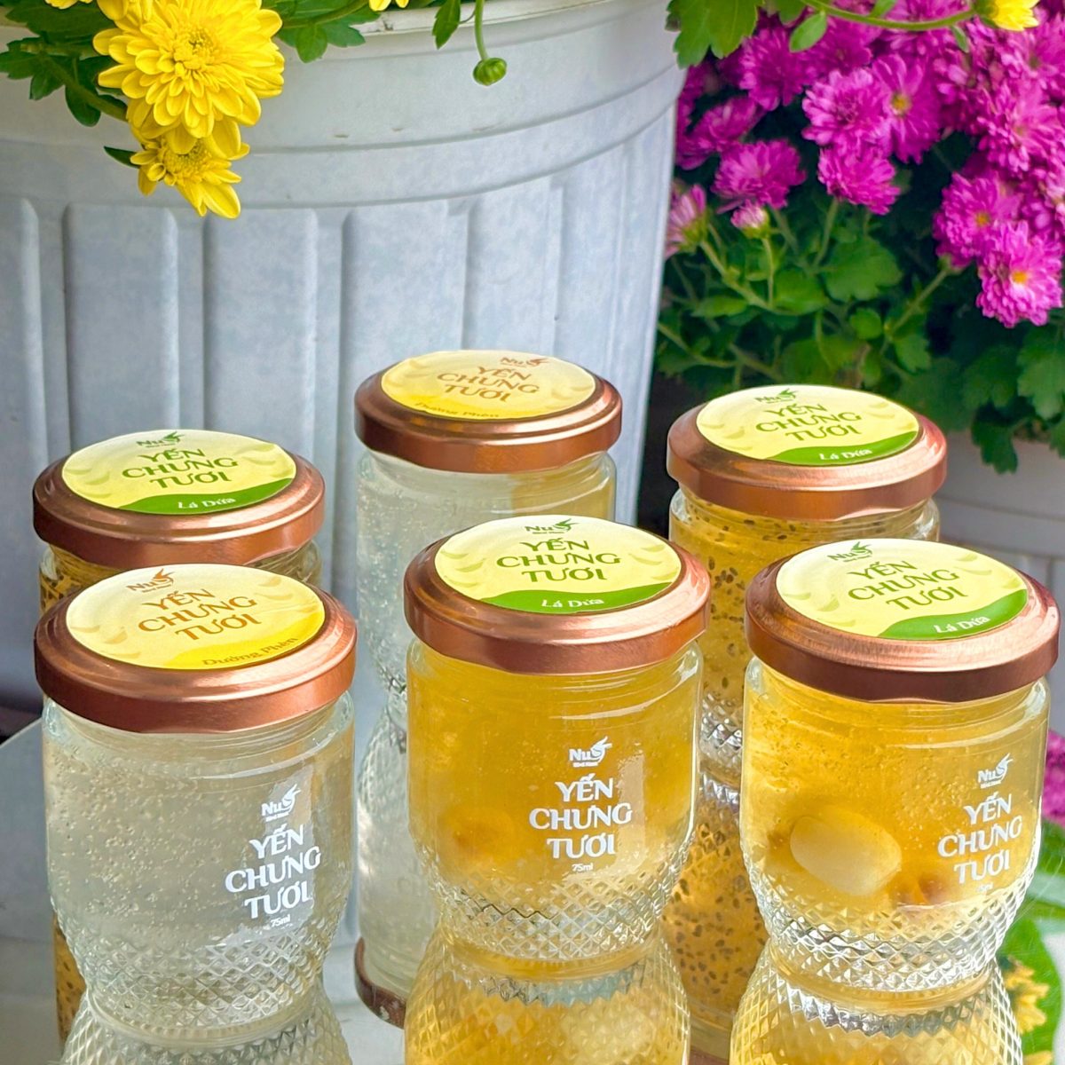 Địa chỉ mua yến chưng nha đam nóng và tươi