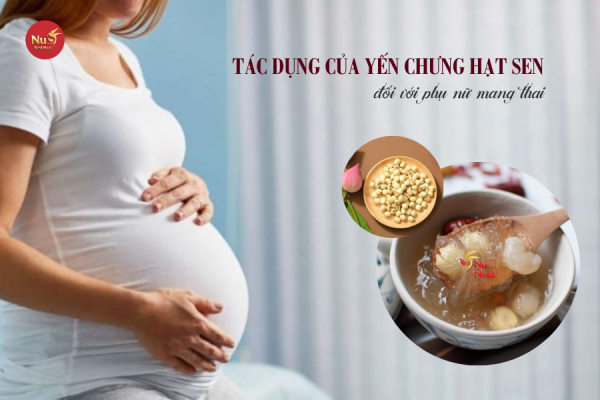 Tác dụng của yến chưng hạt sen đối với phụ nữ mang thai