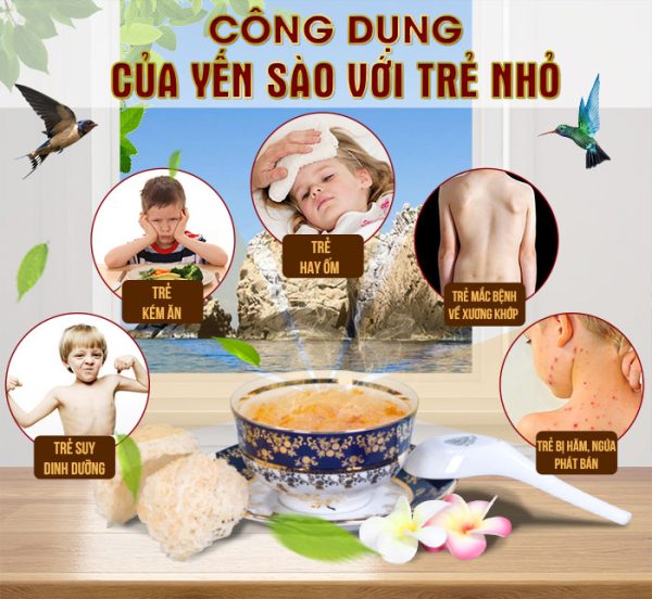 Công dụng của yến sào đối với trẻ em